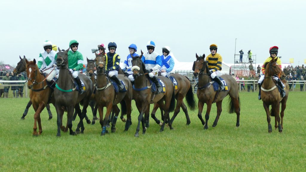 PointtoPoint British Horseracing Authority