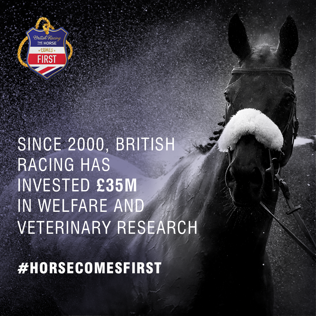 Welfare in British Horseracing | The Horse Comes First