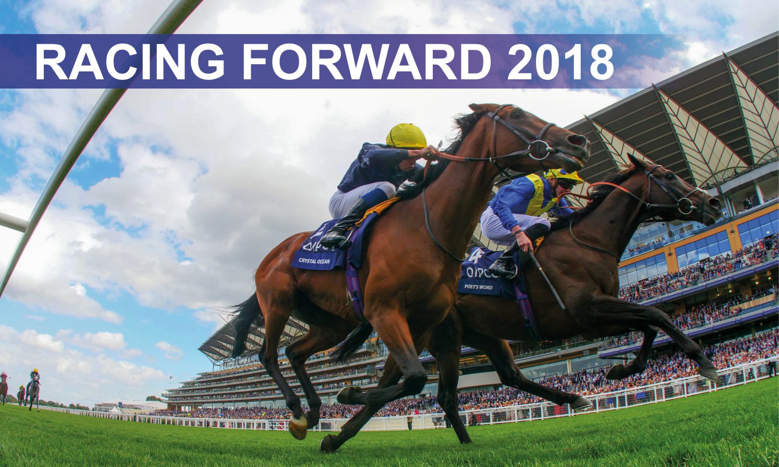 RACING FORWARD | British Horseracing Authority