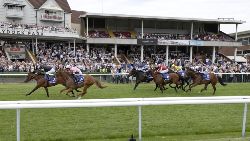 Racing Report: May 2024 | British Horseracing Authority